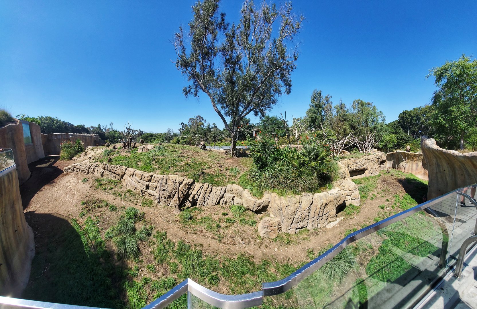 Baboon enclosure at the San Diego Zoo